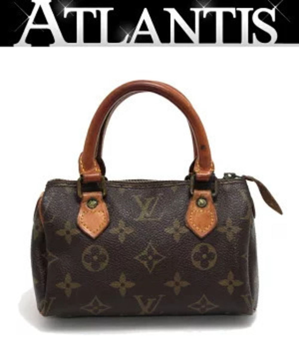 Louis Vuitton Speedy Handbag Monogram